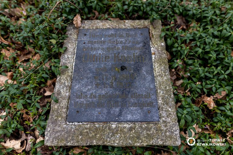 mapawielkopolski20230402 29 768x512