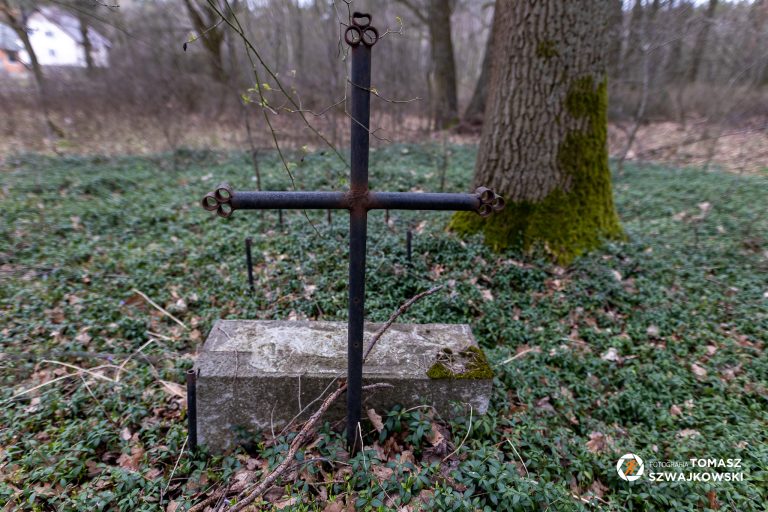 mapawielkopolski20230402 30 768x512