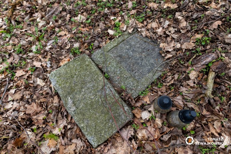 mapawielkopolski20230402 31 768x512